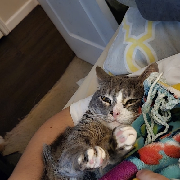 Meet your Posher, Shannon - Picture 8 of 9